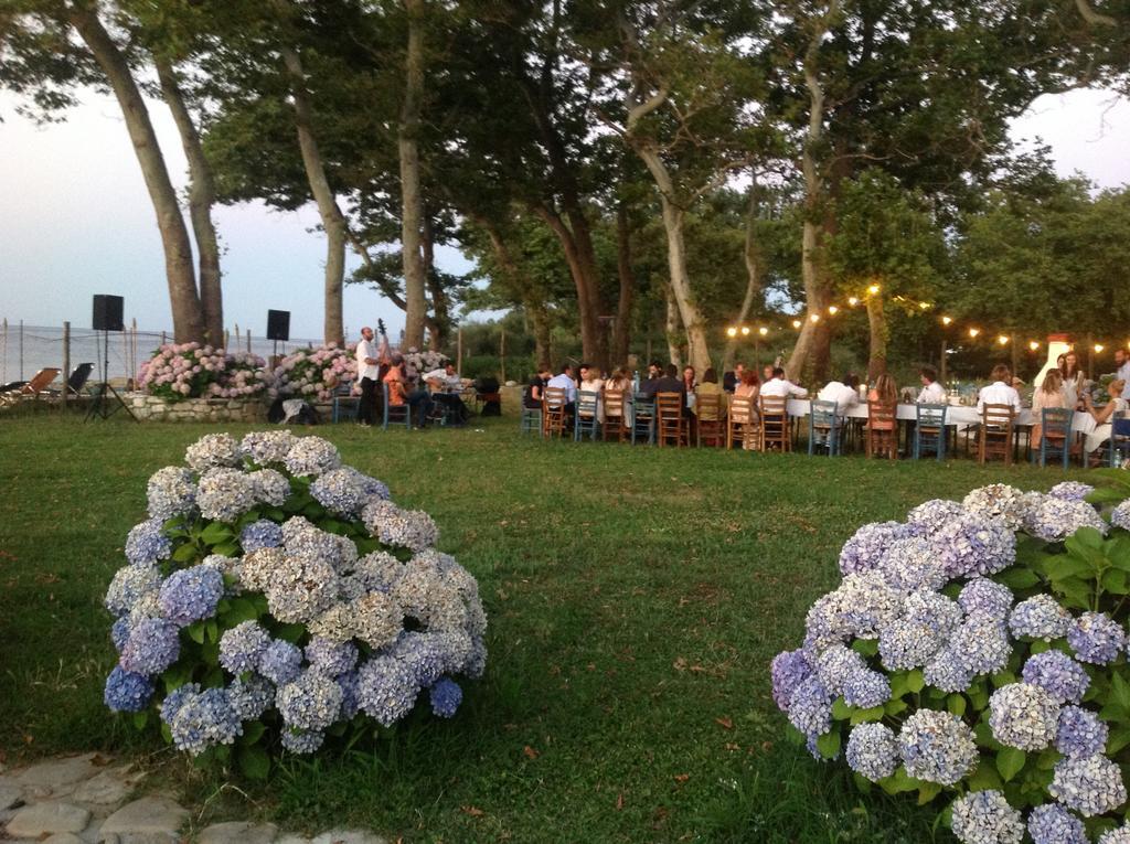 Archondissa Beach Aparthotel Therma  Ngoại thất bức ảnh