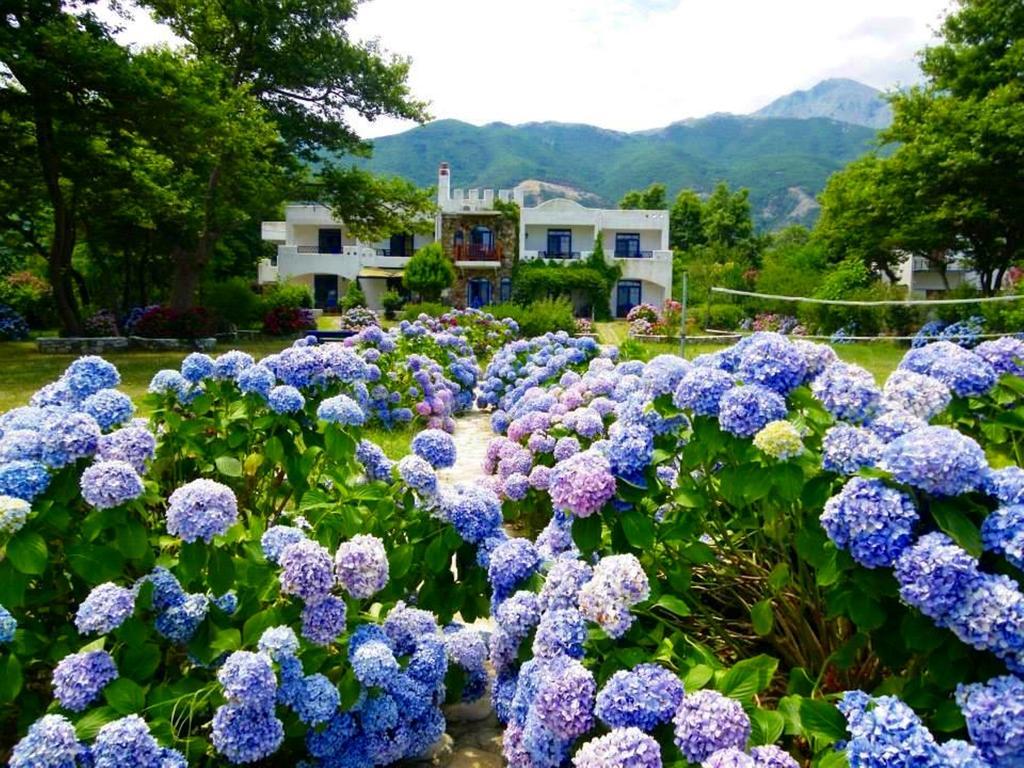 Archondissa Beach Aparthotel Therma  Ngoại thất bức ảnh
