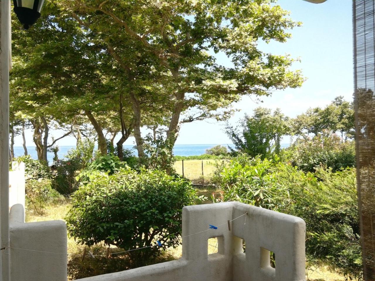 Archondissa Beach Aparthotel Therma  Ngoại thất bức ảnh